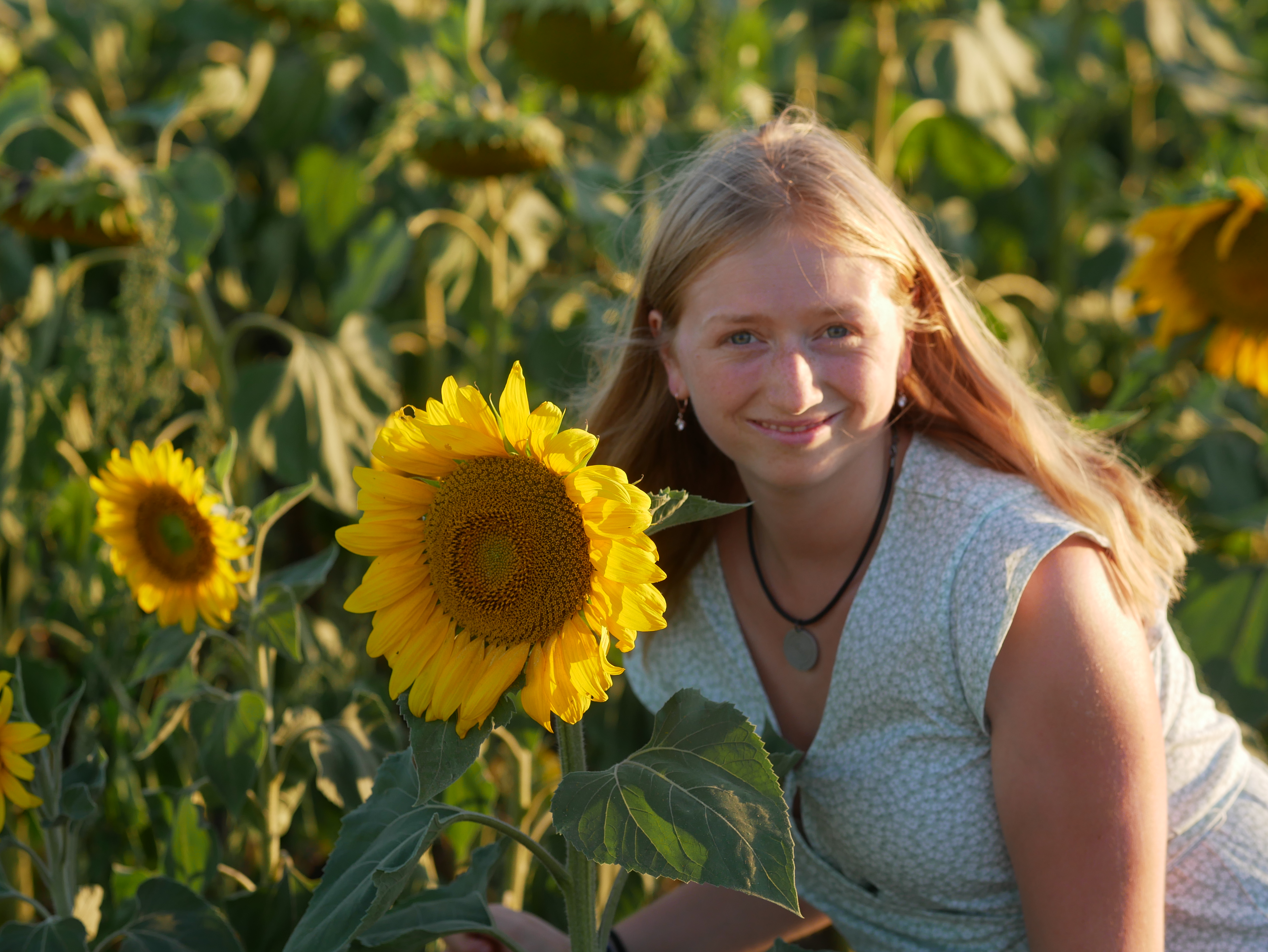 Laura im Meer aus Sonnenblumen